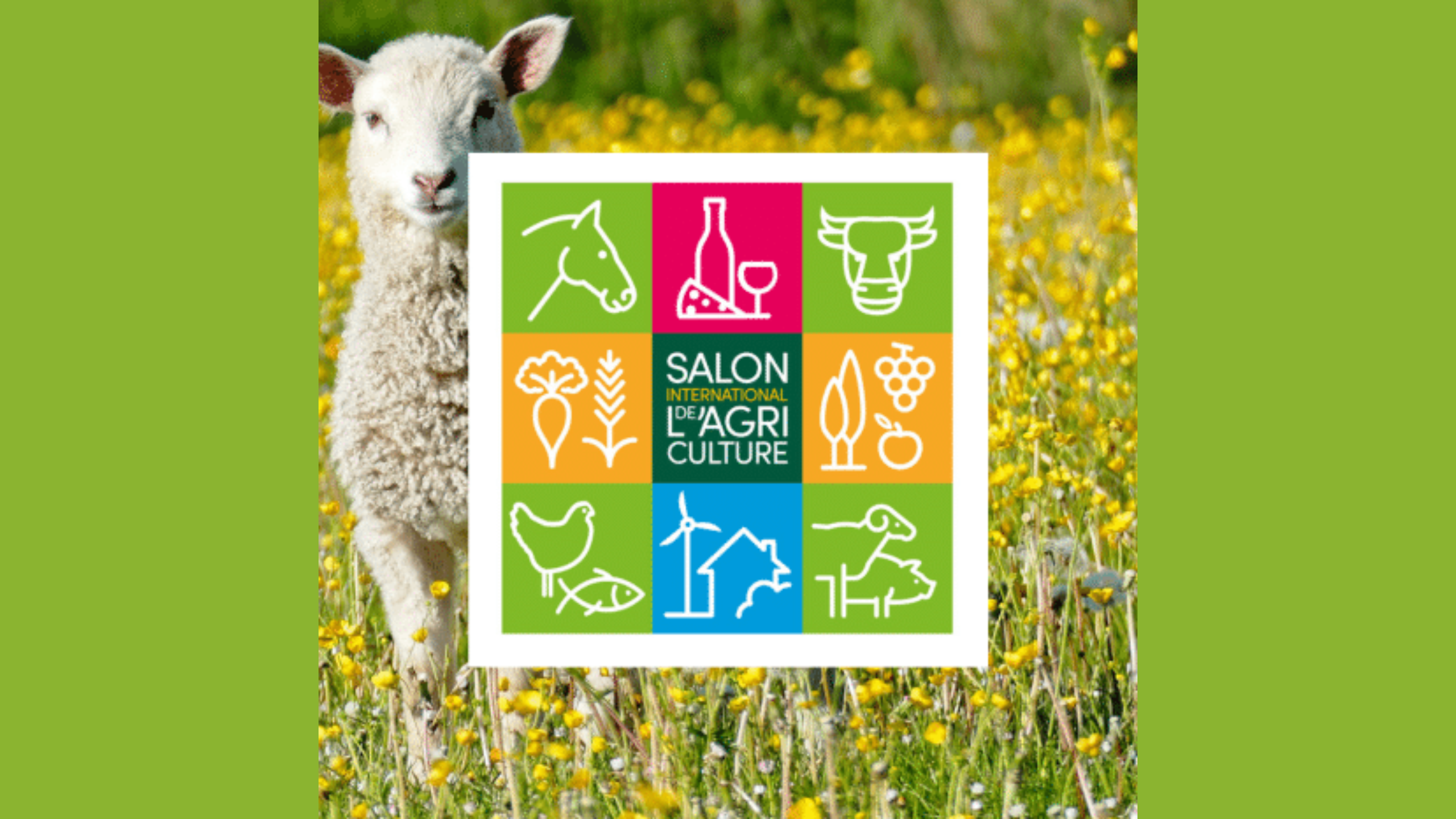 С 24 февраля по 3 марта 2024 года в городе Париже (Франция) проводится международная сельскохозяйственная выставка.