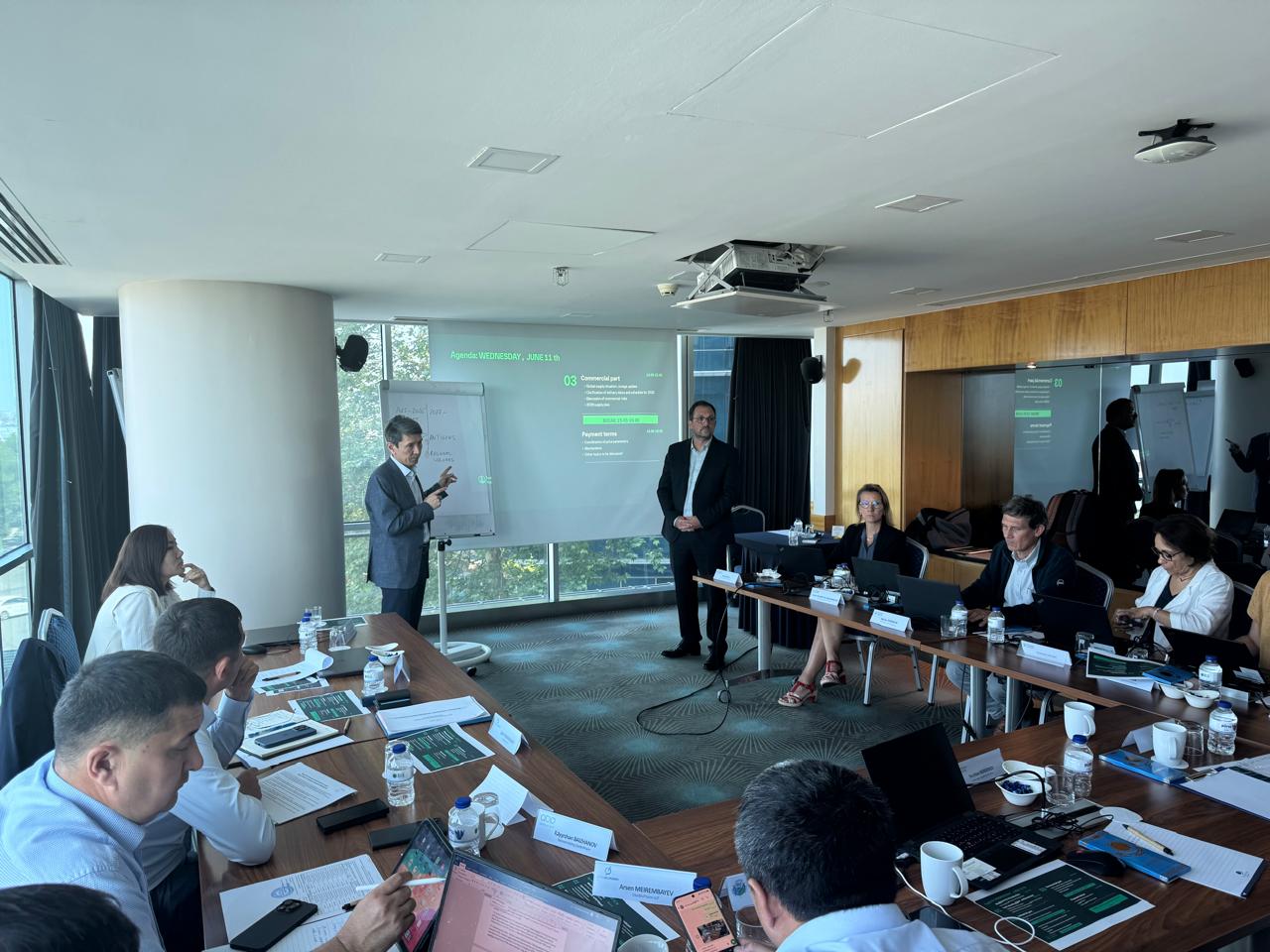 QazBioPharm и Boehringer Ingelheim провели очередную рабочую встречу в Стамбуле