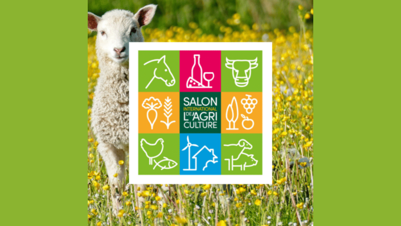 С 24 февраля по 3 марта 2024 года в городе Париже (Франция) проводится международная сельскохозяйственная выставка.