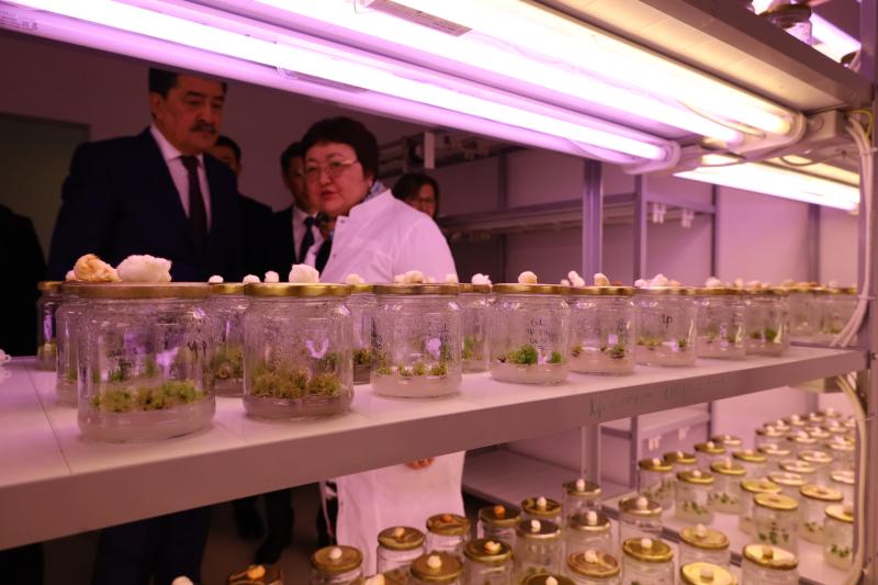 В Национальном холдинге «QazBioPharm» состоялась встреча с министром экологии и природных ресурсов РК