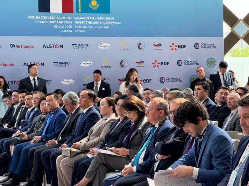 Казахстан и Франция расширяют сотрудничество в сфере здравоохранения