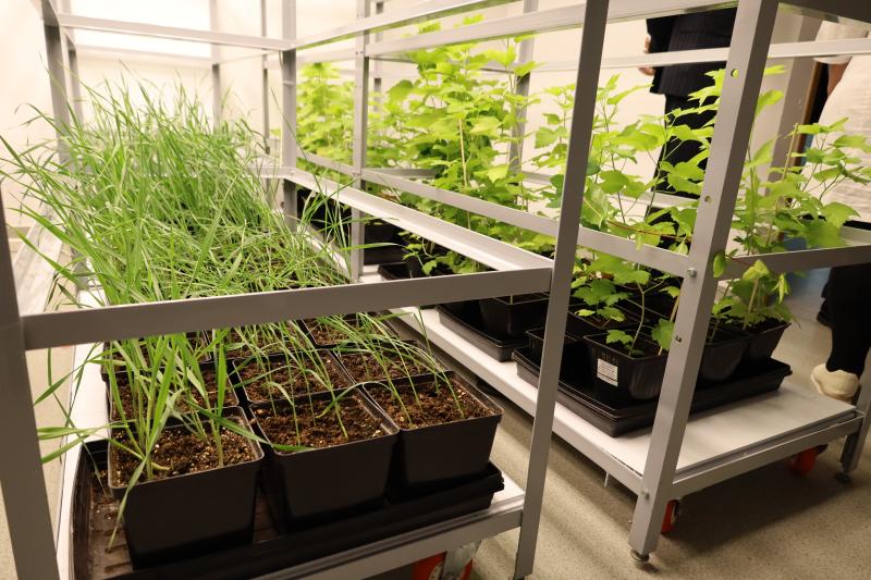 В Национальном холдинге «QazBioPharm» состоялась встреча с министром экологии и природных ресурсов РК