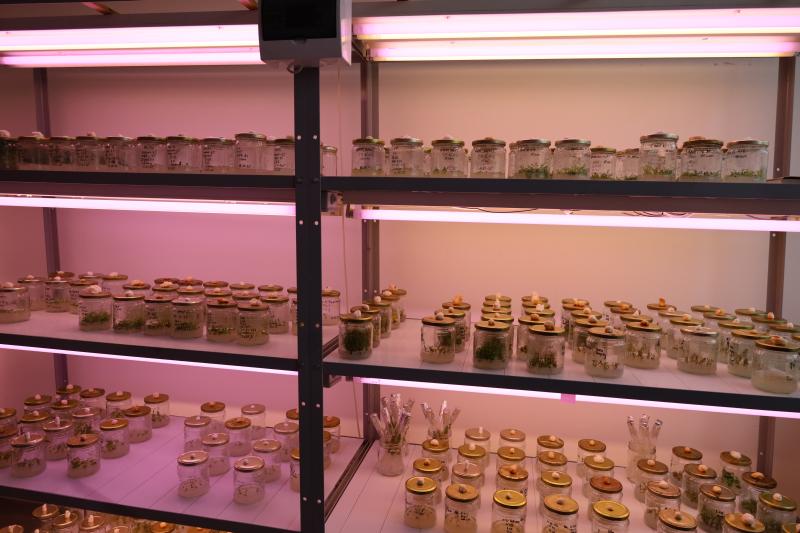 В Национальном холдинге «QazBioPharm» состоялась встреча с министром экологии и природных ресурсов РК