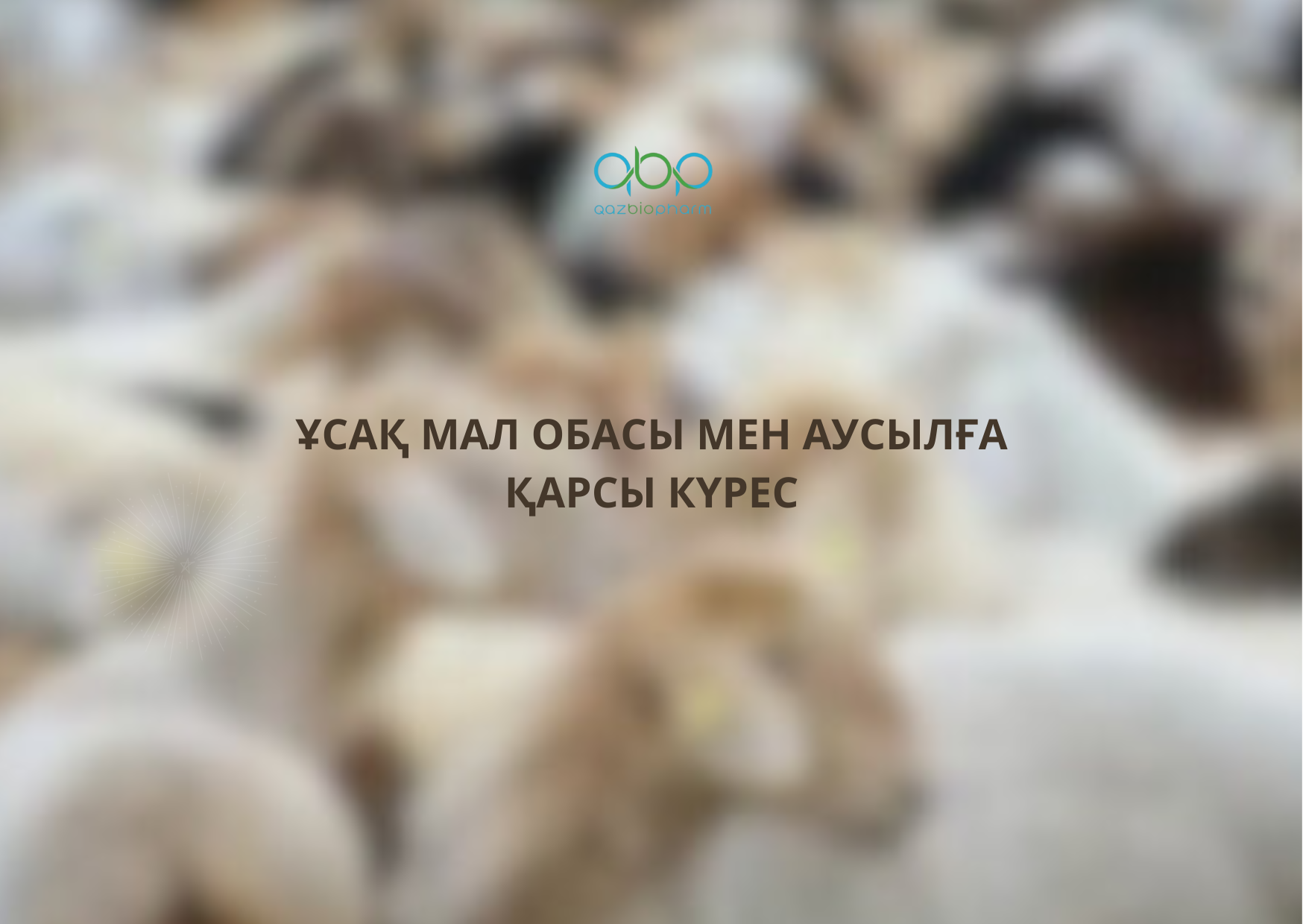 Dushanbe Becomes a Center of International Dialogue on Combating Peste des Petits Ruminants and Foot-and-Mouth Disease